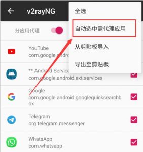 分应用代理 4